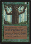 Gens-arbres de Gueulefer [Édition de base]