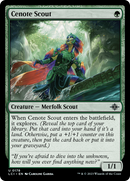 Éclaireuse des cénotes [Les Cavernes Oubliées d'Ixalan]