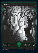 Forêt (276) [Innistrad : Chasse de Minuit]