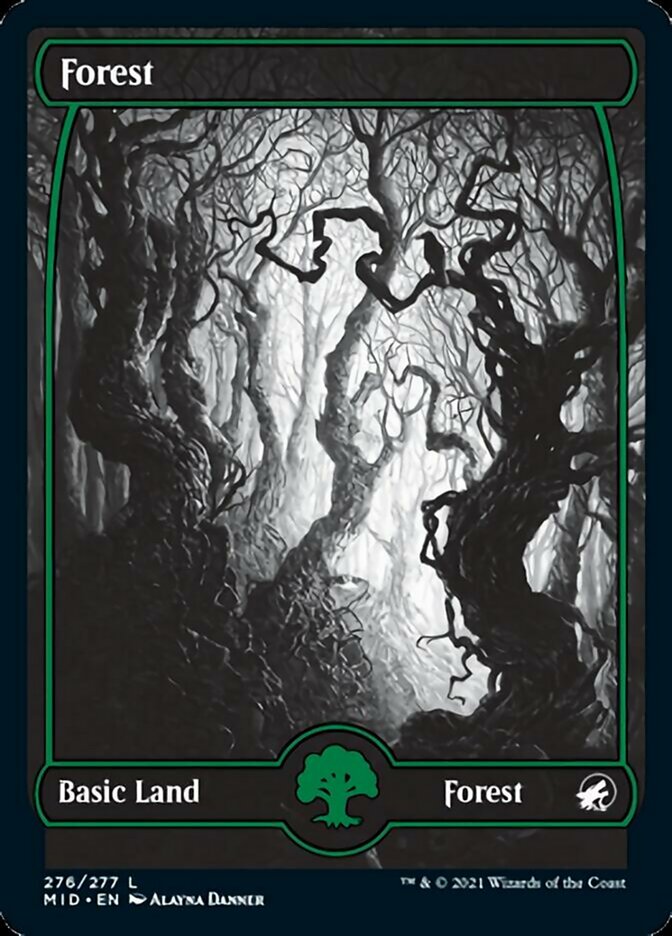 Forêt (276) [Innistrad : Chasse de Minuit]