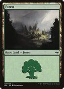Forêt (184) [Destin reforgé]