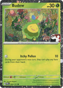 Image for Budew - 004/131 (Cosmos Holo) (004/131) - Pokemon