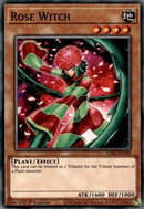 Sorcière Rose [LDS2-FR100] Commune