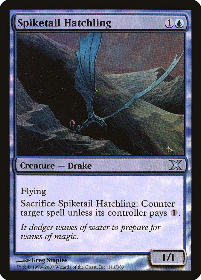 Jeune draconnet griffé (Premium Foil) [Dixième édition]