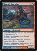 Hatchling futé [Garde de l'Aube]