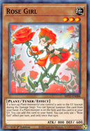 Rose Fille [MP21-FR088] Commune
