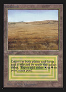 Savannah [Edición para coleccionistas]