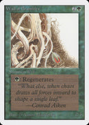 Mur d'épines [Édition illimitée]