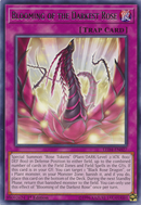 Éclosion de la rose la plus sombre [LED4-FR027] Rare