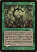 Serment des druides [Cartes de juge 2001]