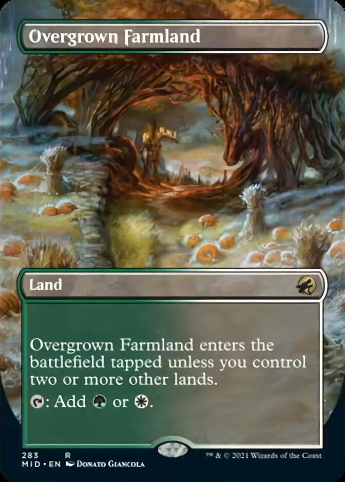 Terrain envahi (Illustration alternative sans bordure) [Innistrad : Chasse de minuit]