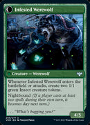 Experte en infestation // Loup-garou infesté [Innistrad: Vœu de sang]