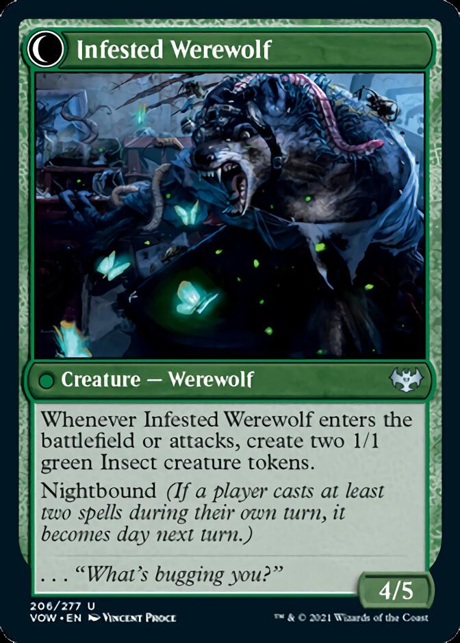 Experte en infestation // Loup-garou infesté [Innistrad: Vœu de sang]