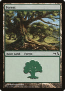 Forêt (31) [Duels: Elfes contre Gobelins]