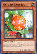 Coccinelle Naturia (Duel Terminal) [HAC1-FR109] Parallel Rare