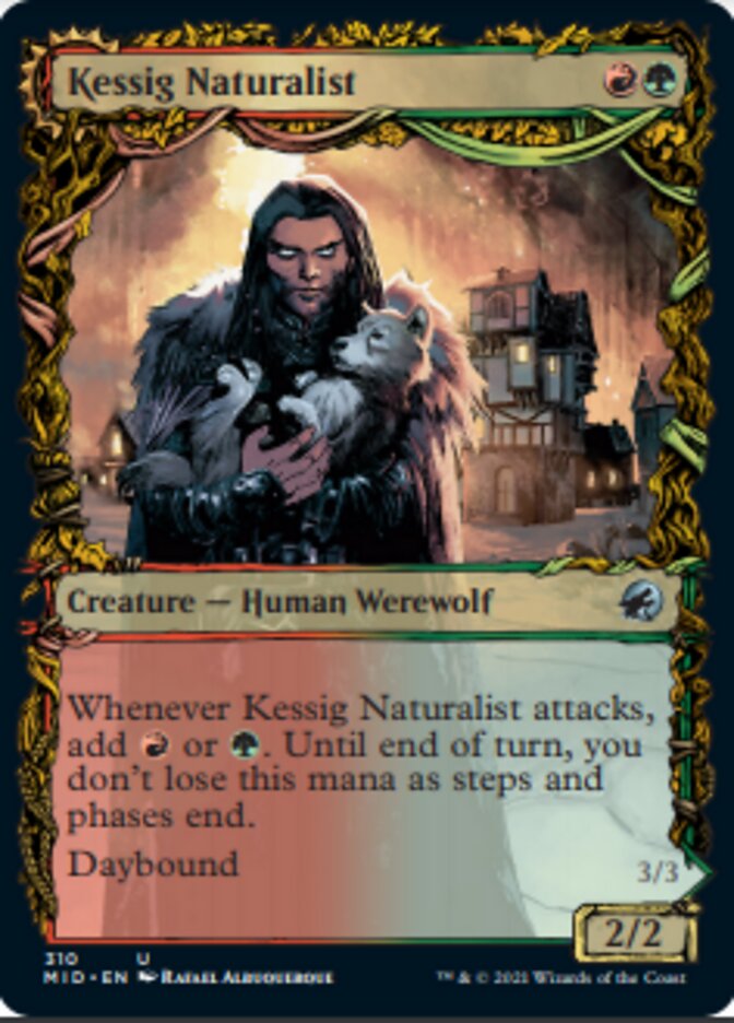 Naturaliste de Kessig // Seigneur de l'Ulvenwald (Équinoxe de l'extension) [Innistrad: Chasse de minuit]