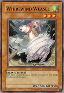 Belette Tourbillonnante [DR04-FR205] Commune