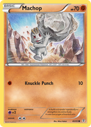 Machoc (40/83) [XY: Générations]