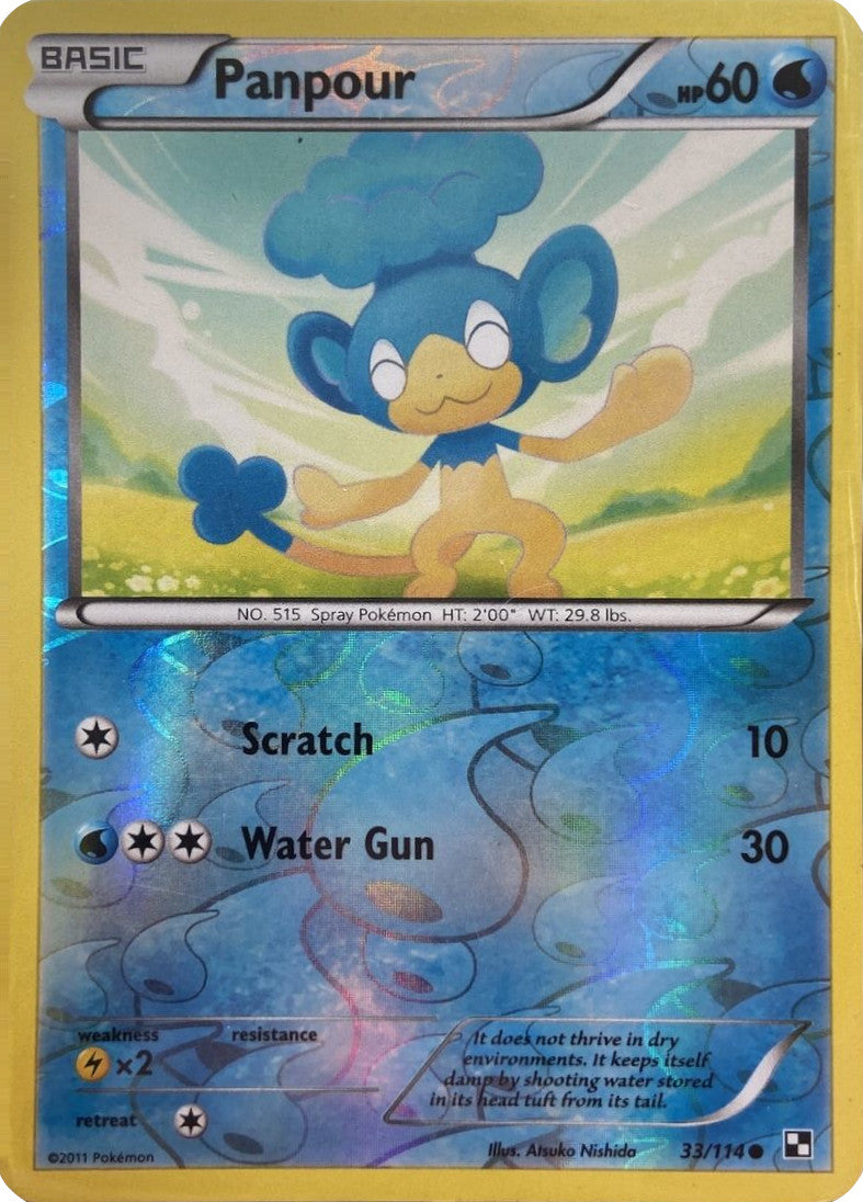 Panpour (33/114) (Energía Holo) [Negro y Blanco: Set Básico]