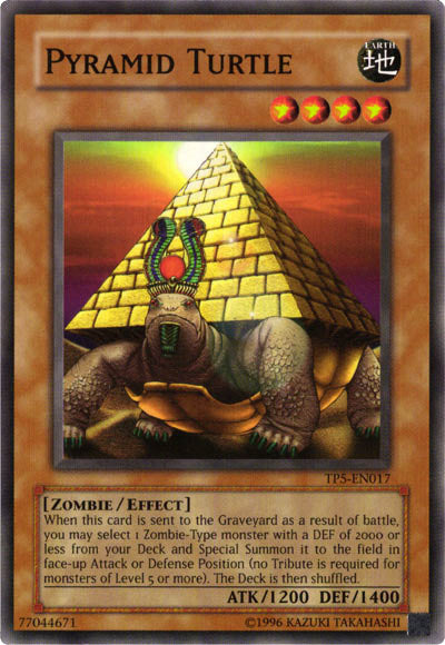 Tortue Pyramide [TP5-EN017] Commune
