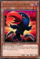 Caligo Griffe-Corbeau [MAGO-FR102] Rare