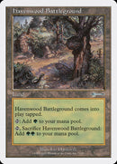 Champ de bataille d'Havenwood [Passage à tabac]
