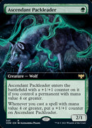 Chef de meute ascendant (Version étendue) [Innistrad: Vœu de Sang]
