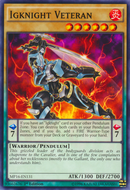 Igknight Veteran [MP16-FR131] Commune
