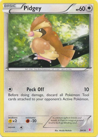 Roucool (29/30) [XY: Kit du dresseur 1 - Grodoudou]