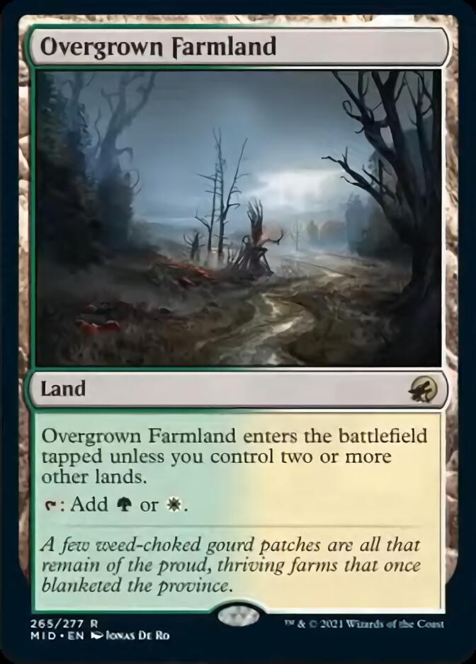 Friche envahie [Innistrad : Chasse de minuit]