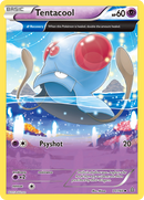 Tentacool (71/160) [XY : Primo-Choc]