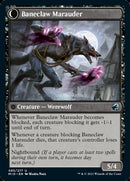 Scélérat du Baneblade // Maraudeur griffe-de-fléau [Innistrad : Chasse de minuit]