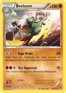 Chapignon (50/111) [XY: Poings Furieux]