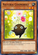 Naturia Cosmobeet [HAC1-FR100] Commune