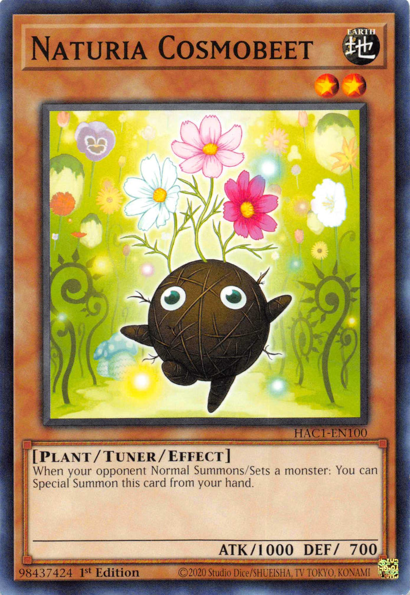 Naturia Cosmobeet [HAC1-FR100] Commune