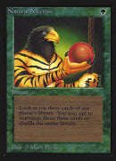 Selección Natural [Edición para coleccionistas]