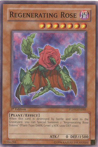 Rose régénératrice [PTDN-FR005] Commune