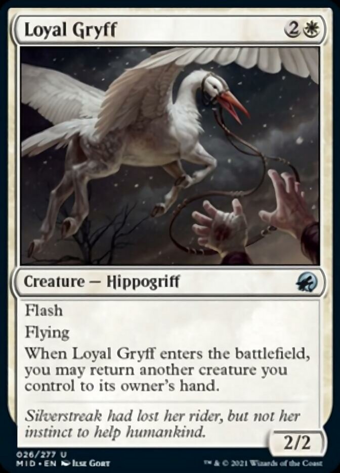 Gryff fidèle [Innistrad: Chasse de minuit]