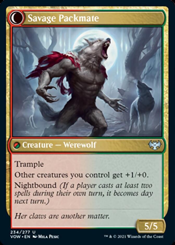 Enfant de la meute // Camarade sauvage [Innistrad: Vœu de Sang]