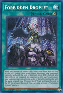 Gouttelette Interdite [MP22-EN254] Prismatic Secret Rare
