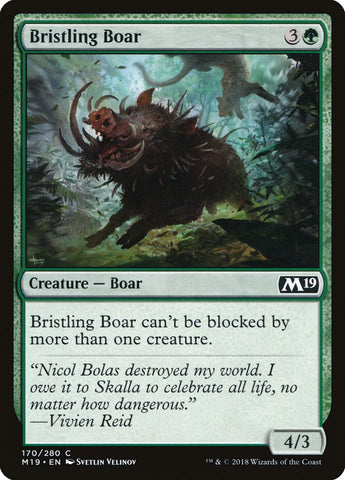 Jabalí erizado [Colección básica 2019]