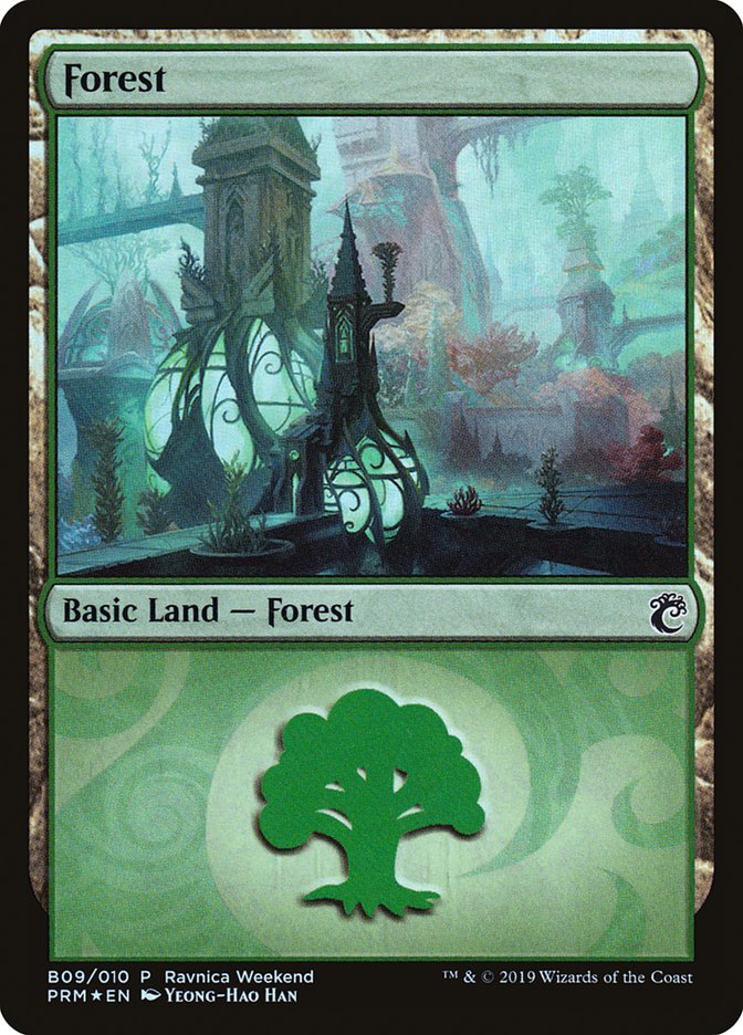 Forêt (B09) [Kit de guilde Allégeance de Ravnica]