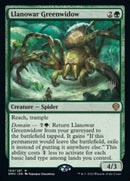 Veuve verte de Llanowar (Lot promotionnel) [Dominaria United Promos]