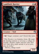 Harrier de Lambholt [Innistrad : Chasse de minuit]