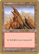 Montagne (br346) (Ben Rubin) [World Championship Decks 1998]