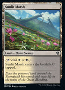 Marais ensoleillé [Dominaria Uni]