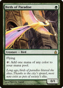 Oiseaux de Paradis [Ravnica : Cité des Guildes]