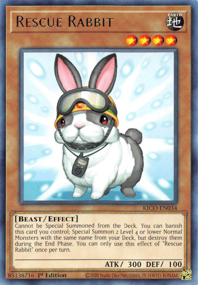 Lapin Sauveteur [KICO-FR034] Rare