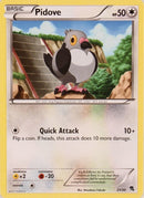 Pidove (21/30) [Negro y Blanco: Kit de Entrenador - Zoroark]