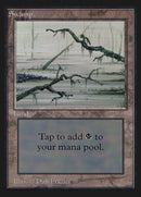 Marais (Branches à gauche et à droite du cadre) [Édition Collector]